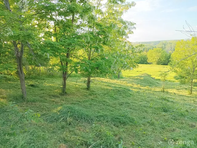 Eladó telek Magyarkeszi 7500 nm