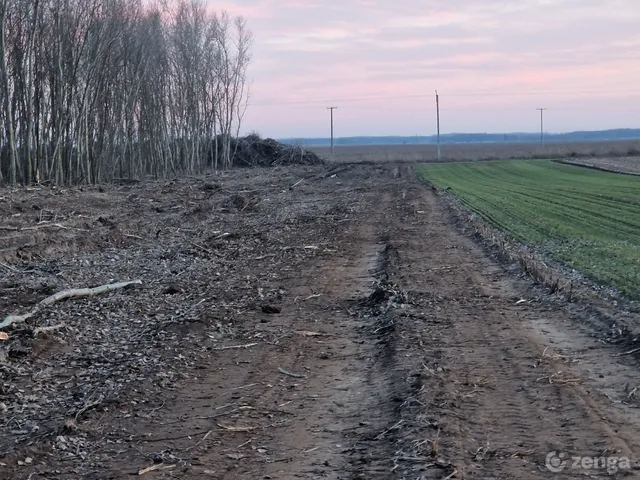 Eladó mezőgazdasági ingatlan Kecskemét, Borbás, régi Szolnoki út 7093 nm