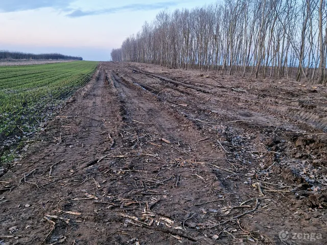 Eladó mezőgazdasági ingatlan Kecskemét, Borbás, régi Szolnoki út 7093 nm