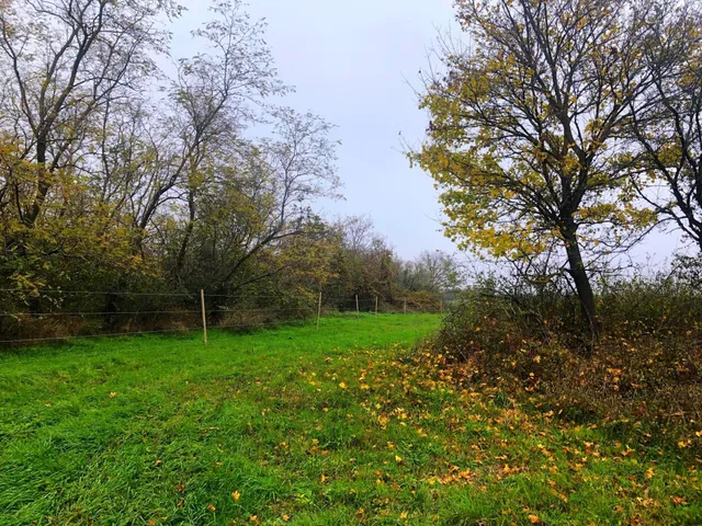 Eladó telek Köveskál, Városkút utca 38500 nm