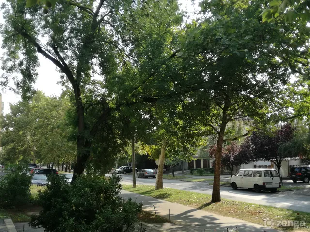 Kiadó lakás Nyíregyháza, Jósaváros 36 nm