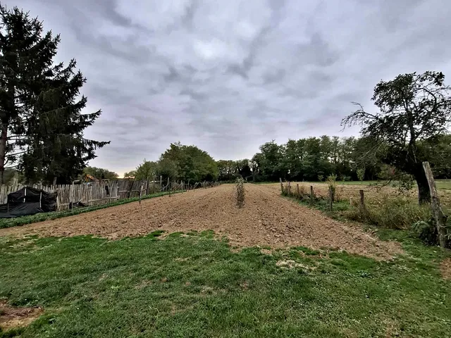 Eladó ház Somogysárd 90 nm