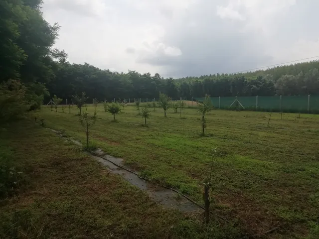 Eladó telek Albertirsa 5525 nm