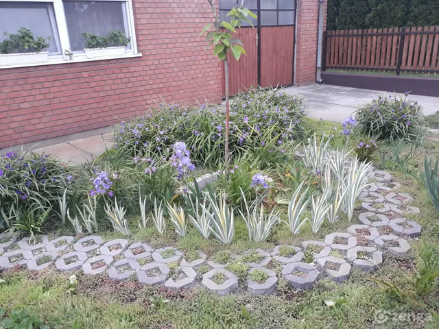 Eladó ház Ruzsa, Szegedi út 165 nm