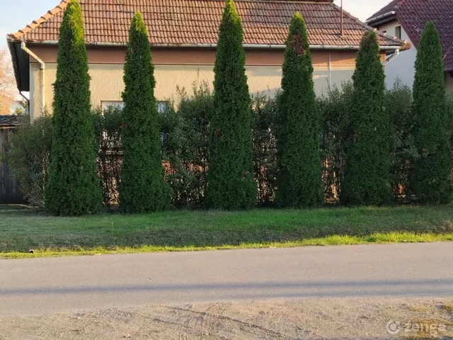 Eladó ház Kistelek, Széchenyi utca 100 nm