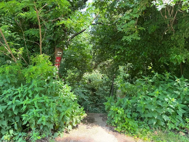 Eladó telek Kőszeg 1580 nm