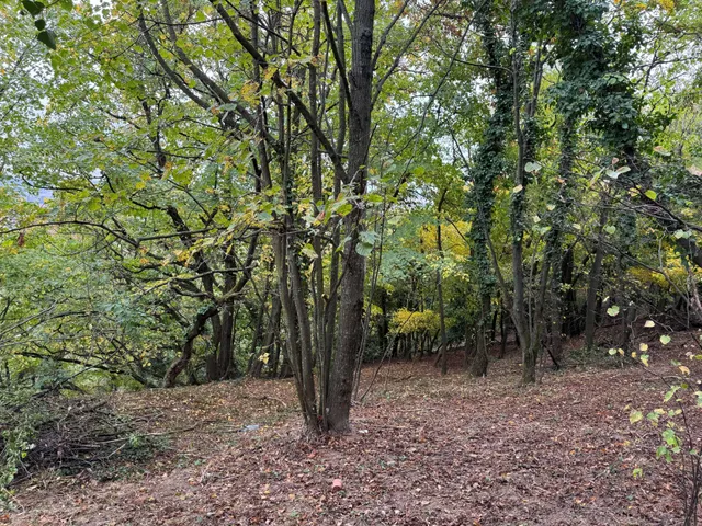 Eladó telek Kőszeg 1943 nm