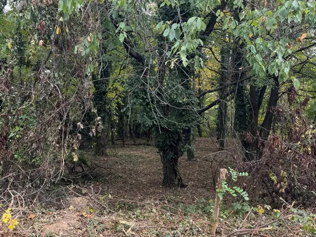 Eladó telek Kőszeg 1943 nm