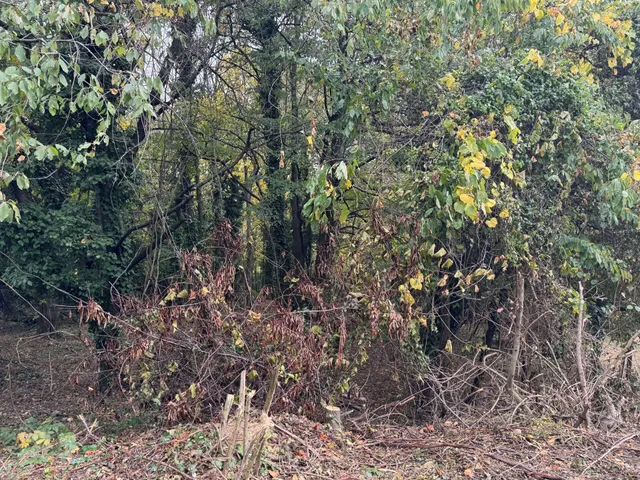 Eladó telek Kőszeg 1943 nm