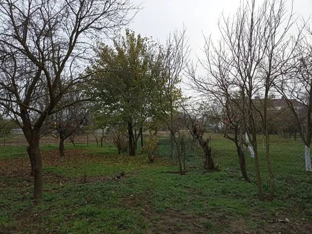 Eladó ház Vashosszúfalu 89 nm