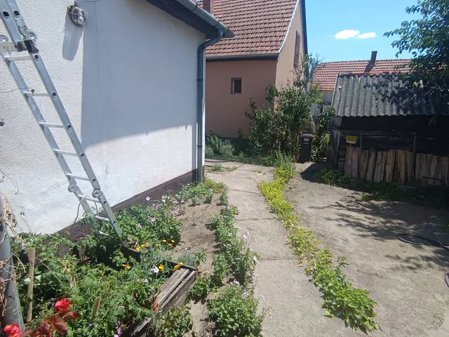 Eladó ház Bugac 101 nm