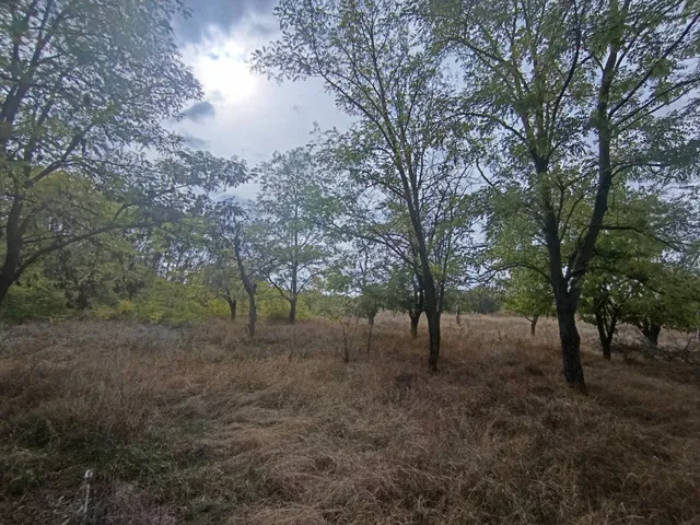 Eladó ház Pálmonostora 4341 nm