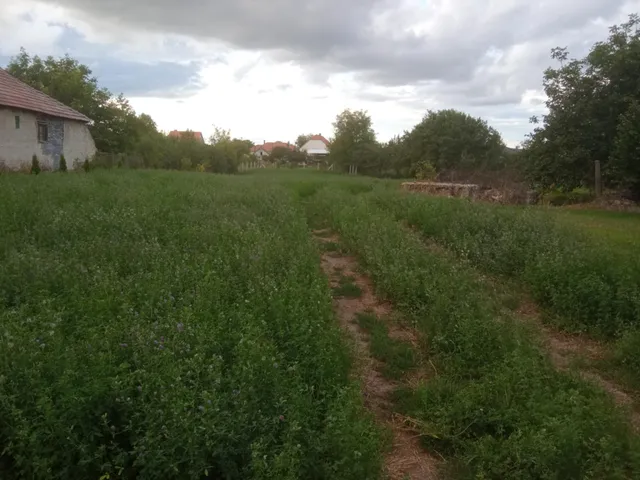 Eladó telek Boldva, Széchenyi út 34 2109 nm