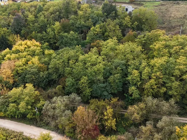 Eladó telek Miskolc, Bodótető 900 nm