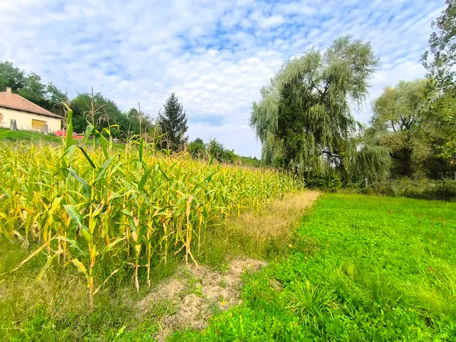 Eladó telek Harsány 805 nm