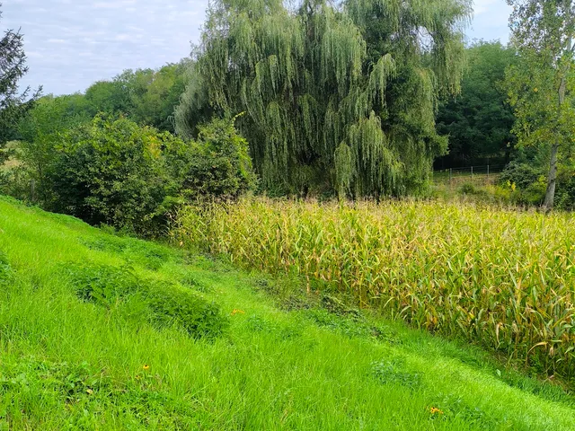 Eladó telek Harsány 805 nm