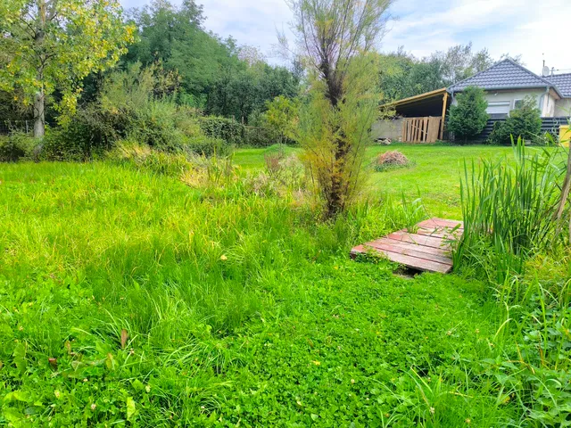 Eladó telek Harsány 805 nm