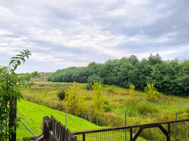 Eladó ház Harsány 80 nm