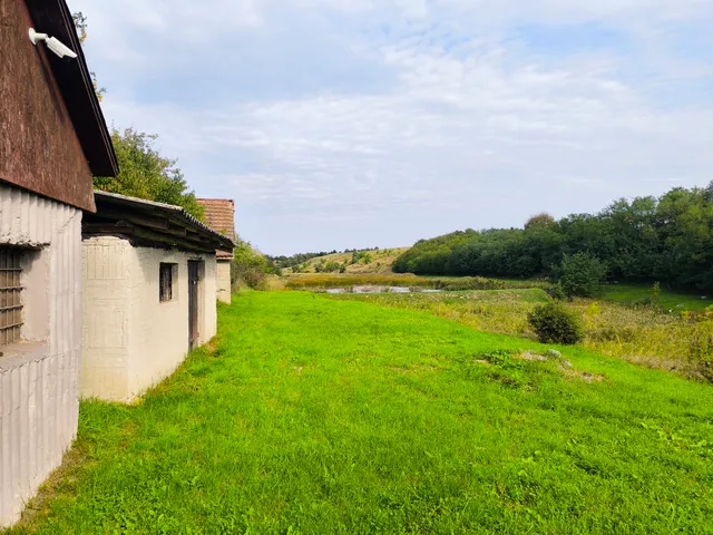 Eladó mezőgazdasági ingatlan Harsány 40 nm