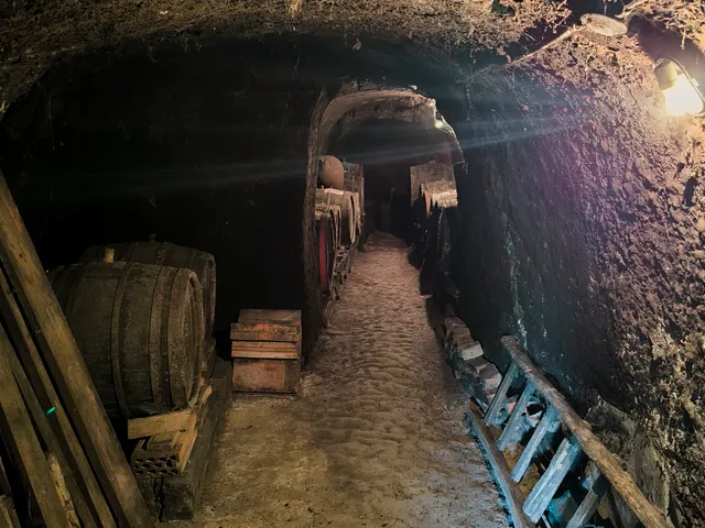 Eladó mezőgazdasági ingatlan Harsány 40 nm