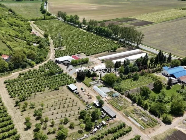 Eladó mezőgazdasági ingatlan Putnok 250000 nm