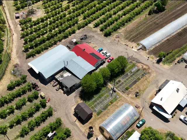 Eladó mezőgazdasági ingatlan Putnok 195034 nm