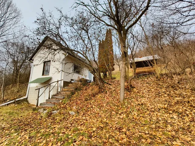 Eladó mezőgazdasági ingatlan Dédestapolcsány 18 nm