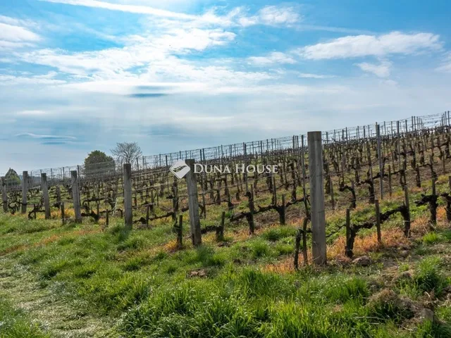Eladó mezőgazdasági ingatlan Bodrogkeresztúr 6000 nm