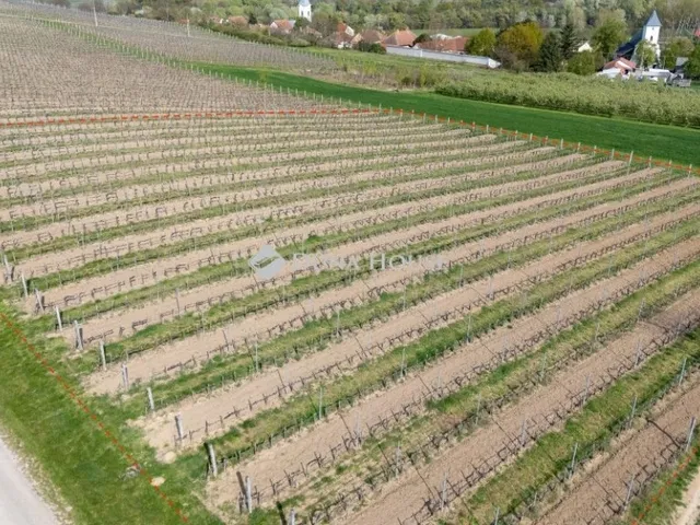 Eladó mezőgazdasági ingatlan Bodrogkeresztúr 6000 nm