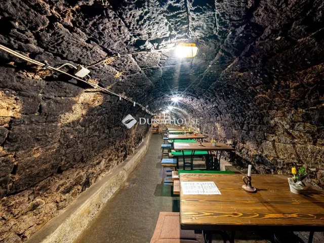 Eladó kereskedelmi és ipari ingatlan Tokaj 240 nm