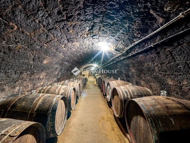 Eladó kereskedelmi és ipari ingatlan Tokaj 240 nm