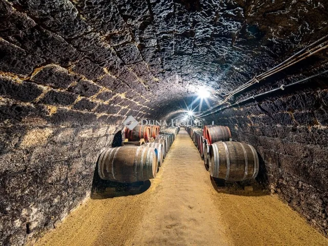Eladó kereskedelmi és ipari ingatlan Tokaj 240 nm