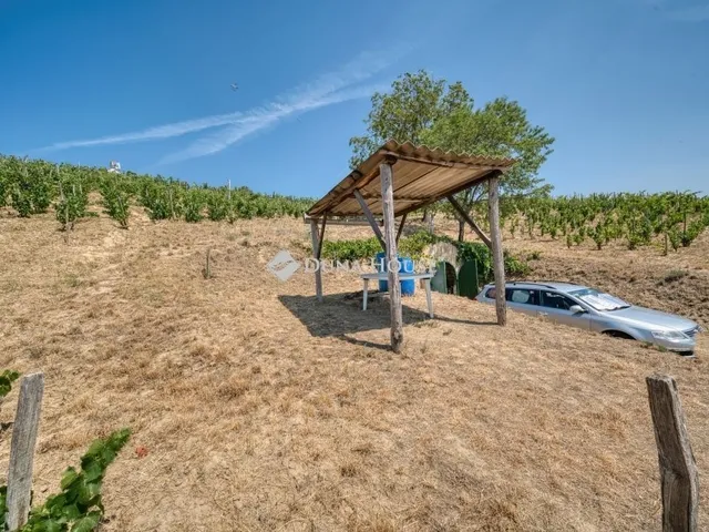 Eladó mezőgazdasági ingatlan Tokaj 72 nm