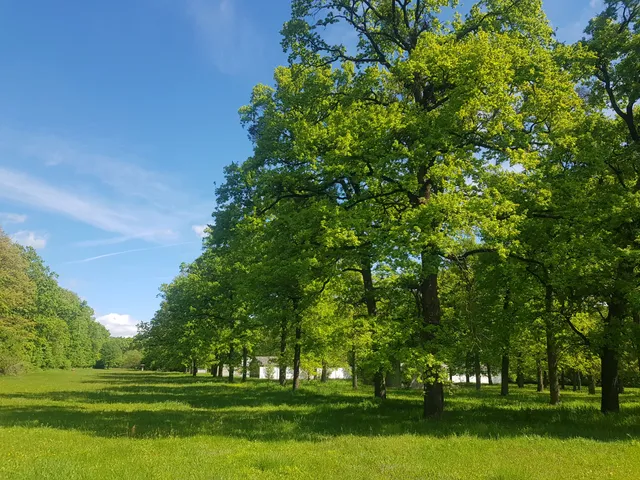 Eladó telek Nagykanizsa 81000 nm