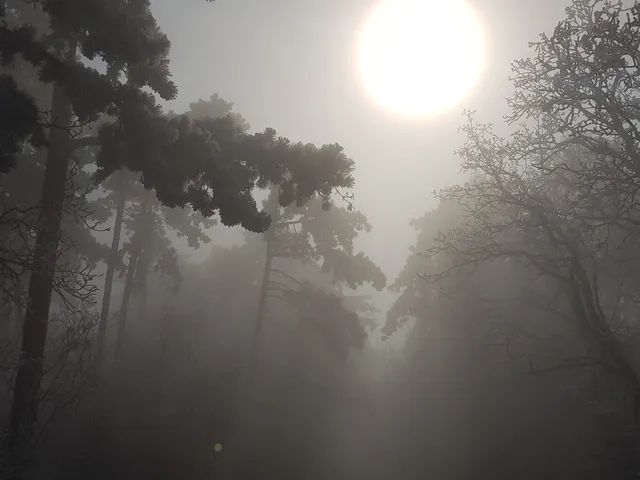 Eladó telek Pécs, Tettye 1650 nm