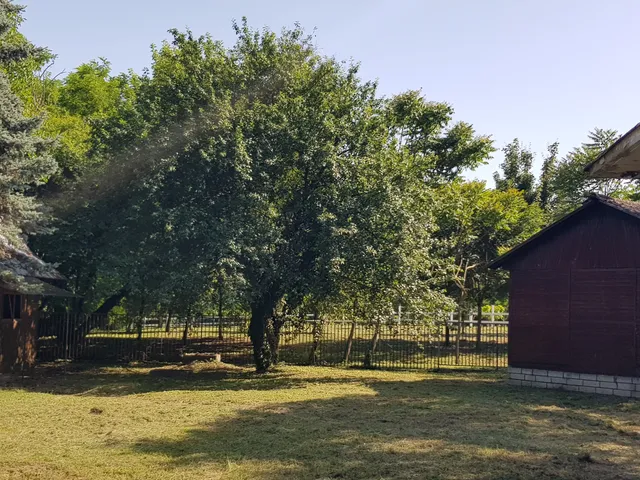 Eladó ház Dunaújváros 360 nm