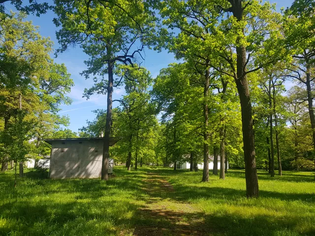 Eladó ház Nagykanizsa 400 nm