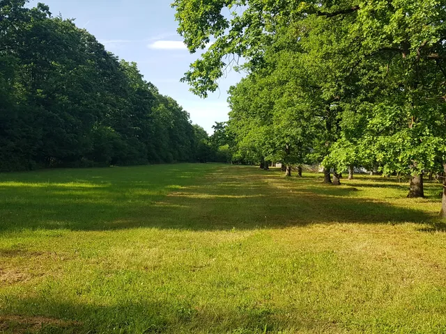 Eladó ház Zalaegerszeg 500 nm