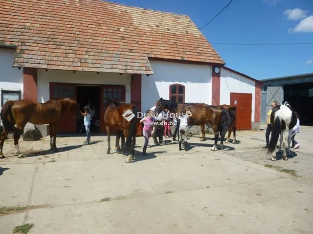 Eladó ház Szedres 4100 nm