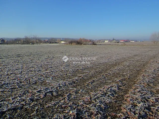 Eladó mezőgazdasági ingatlan Tápiógyörgye 128636 nm