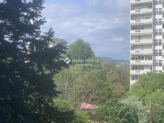 Kiadó lakás Budapest XIV. kerület 46 nm