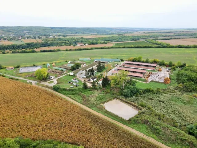 Eladó kereskedelmi és ipari ingatlan Ozora 1000 nm