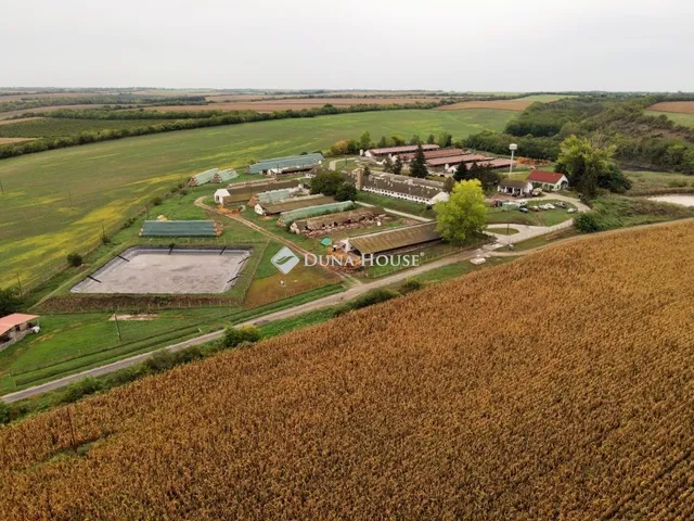 Eladó kereskedelmi és ipari ingatlan Ozora 1000 nm