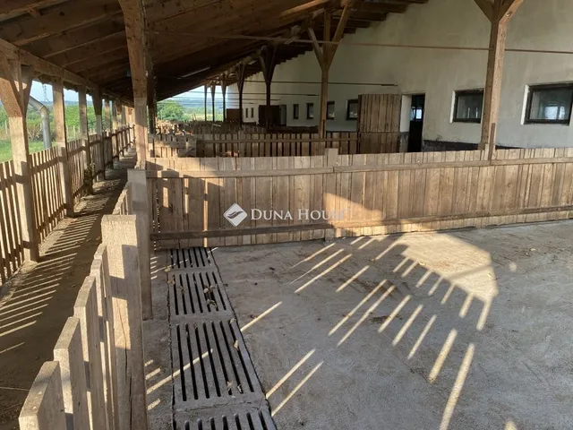 Eladó kereskedelmi és ipari ingatlan Ozora 1000 nm