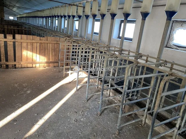 Eladó kereskedelmi és ipari ingatlan Ozora 1000 nm