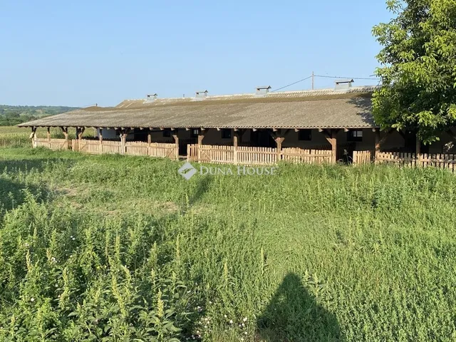 Eladó kereskedelmi és ipari ingatlan Ozora 1000 nm