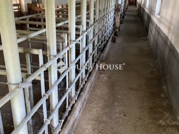 Eladó kereskedelmi és ipari ingatlan Ozora 1000 nm