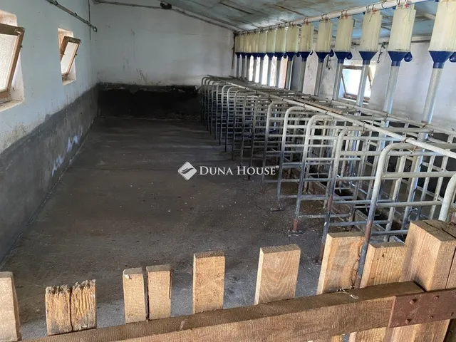 Eladó kereskedelmi és ipari ingatlan Ozora 1000 nm