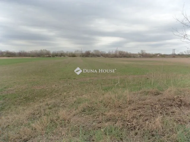 Eladó kereskedelmi és ipari ingatlan Pilis 19924 nm