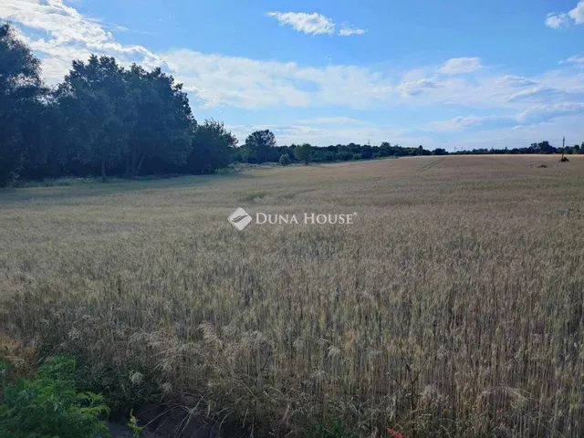 Eladó telek Budapest XVI. kerület 2795 nm